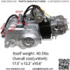 125cc 4-Stroke Semi-Auto Electric Start Motor Engine Single Cylinder Air Cooled for ATV Quad Go Kart Quad Bikes - Image 2