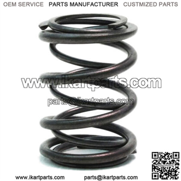 32lb Dual Valve Spring for 196cc Clone Engine