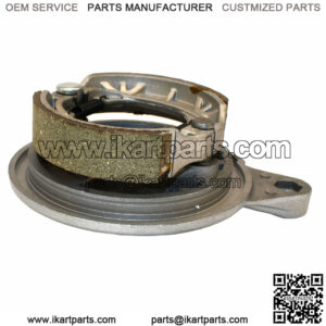 Rear Drum Brake Assembly