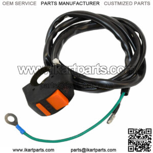 Mini Bike Engine Kill Switch