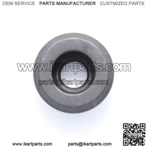 Import placeholder for 1011