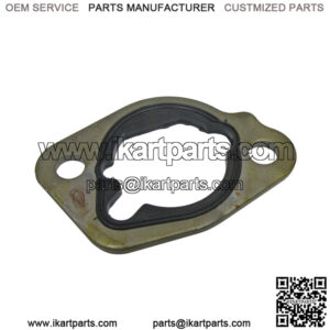 Import placeholder for 310