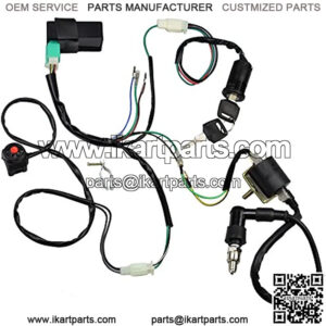Wire Harness Wiring Loom CDI Ignition Coil Spark Plug Rebuild Kit for 50cc 70cc 90cc 110cc 125cc Stator CDI Coil ATV Quad Bike Buggy Go Kart
