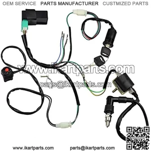 Wire Harness Wiring Loom CDI Ignition Coil Spark Plug Rebuild Kit for 50cc 70cc 90cc 110cc 125cc Stator CDI Coil ATV Quad Bike Buggy Go Kart