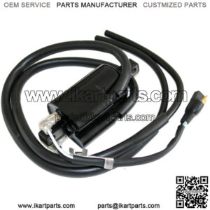 Ignition Coil for 410920500 Ski-Doo
