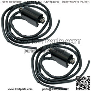 Set of 2 Ignition Coil for Suzuki GSF600S Bandit 600 1996 1997 1998 1999-2003