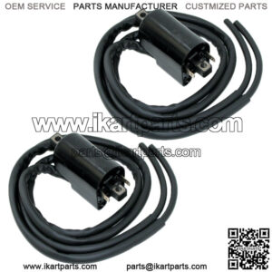 Set of 2 Ignition Coil for Suzuki GSX750F GSX750 F Katana 750 1989 1990-2006