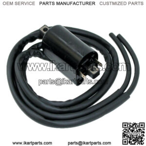 Ignition Coil for Suzuki 33420-19C01 33420-19C00