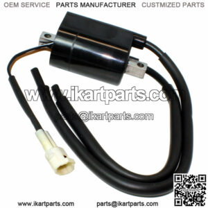 Ignition Coil for Suzuki 33410-17GA0 33420-17GA0 33420-17GA1
