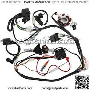 Wiring Harness Kit Complete Electrics Stator Coil CDI Wire Loom Set for 4-Stroke ATV QUAD 150cc-300cc