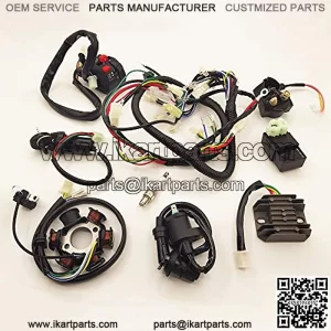 DSparts, Complete Electrics Stator Coil CDI Wiring Harness Wire Loom Assembly Fit for GY6 4-Stroke ATV QUAD Engine Type