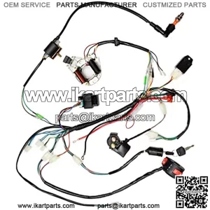 Complete Electrics Stator Coil CDI Wiring Harness Rectifier Solenoid Relay for 50cc 70cc 110cc 125cc Kazuma Taotao Kangdi 4 Wheeler Chinese ATV Quad