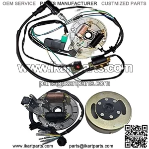 Wire Harness CDI Ignition Coil Spark Plug Kill Switch Magneto Stator Plate Flywheel Assembly Kit for Kick Start Dirt Pit Bike 50-125cc