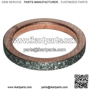 Exhaust Muffler Pipe Gasket for Yamaha 3Gd-14613-00-00, 90430-38054-00