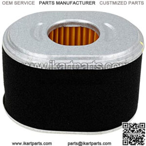 Air Filter Cleaner for CT200U Trail200 Trail Mini Bike 196cc Trailmaster Mini XRX and Mini XRS Mini Shark and 80T Go Karts