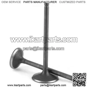 250cc intake and exhaust assembly for water cool engine