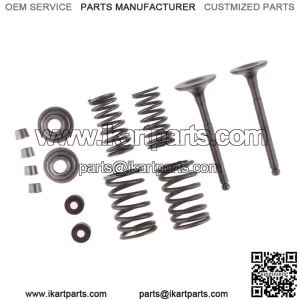 Muelle de v??lvulas de admisi??n y escape para 110 cc  4 ruedas Dune Buggy  V??lvulas de escape de admisi??n Resortes