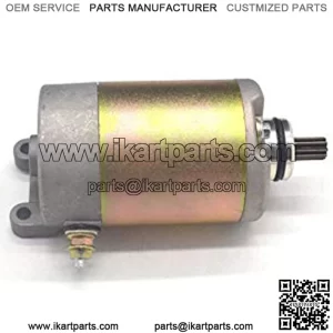 Electrical Motor Starter for Hammerhead BMS Joyner 250 250cc Go Kart Dune Buggy