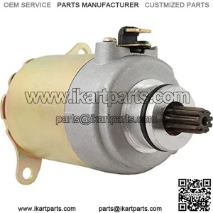 SCH0002 Starter Compatible With/Replacement For Bms Motor Sports Atv Go Cart Kart Scooter 150 Bms Eagle Eton Gmi Scoot Hammerhead Redcat/Polaris RZR 170 169cc 2009-2015 /