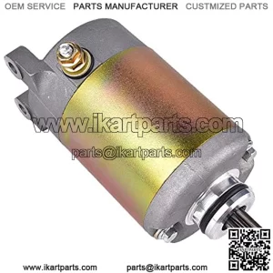 Starter Motor Replacement for BMS 250 250cc Go Kart Dune Buggy