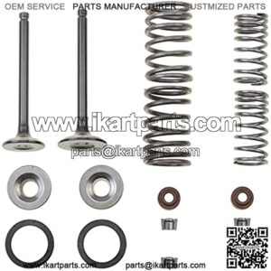 Cylinder Head 66mm Valve Assembly Replacement for 70cc 90cc 110cc Taotao Roketa Sunl Chinese Mini ATV Quad Horizontal Engine Pocket Dirt Bike Dirt Bike