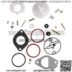 Carburetor Repair Kits for Briggs & Stratton 796184 Master Overhaul Nikki Carbs